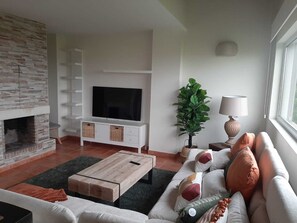 TV, fireplace, books