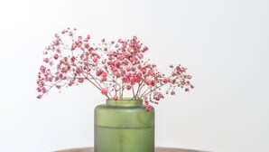 A green vase with pink flowers on a round wooden table. - Vincennes Sauvage  (Vincennes)