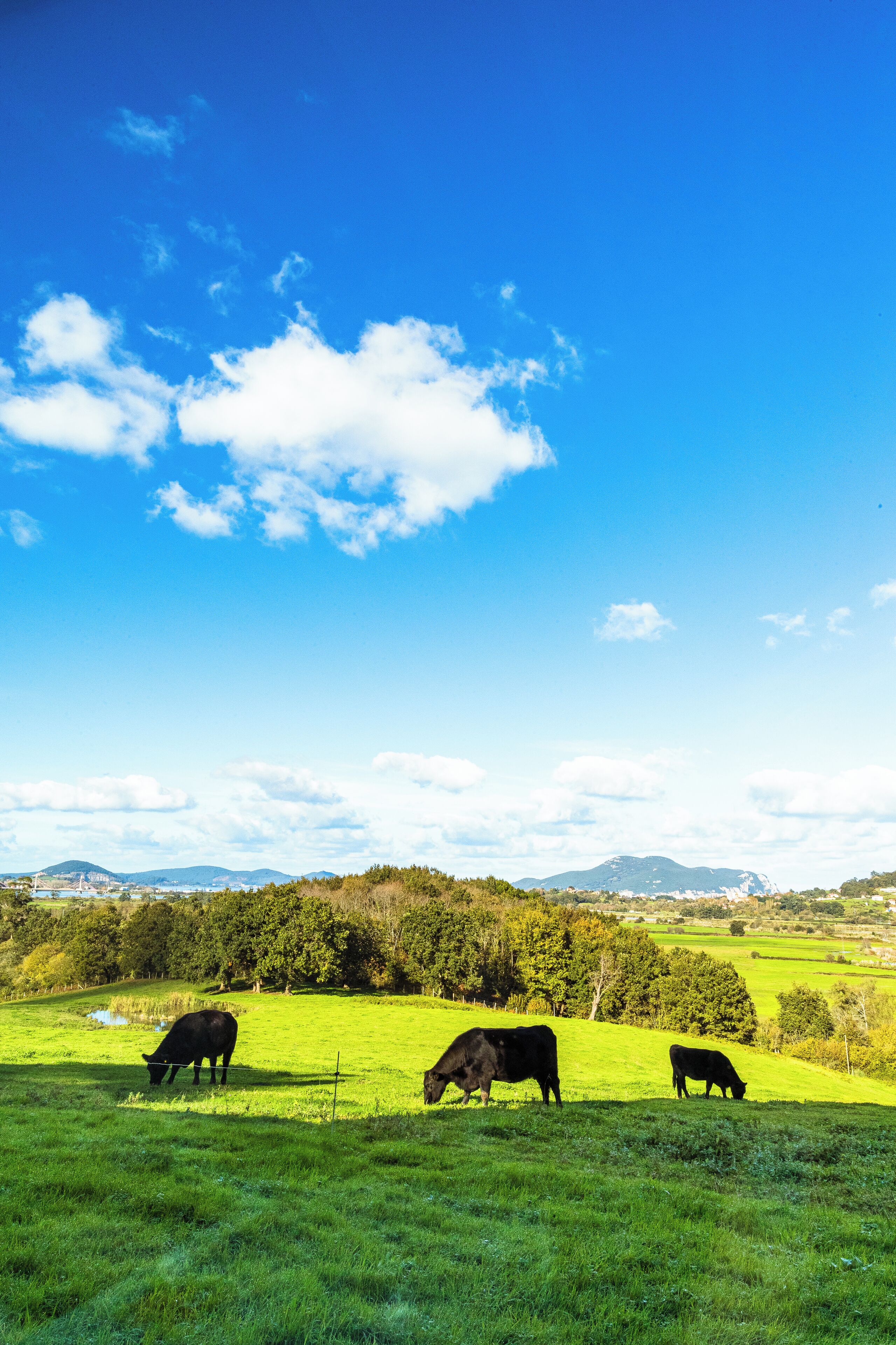Foto - Hotel Pico Velasco