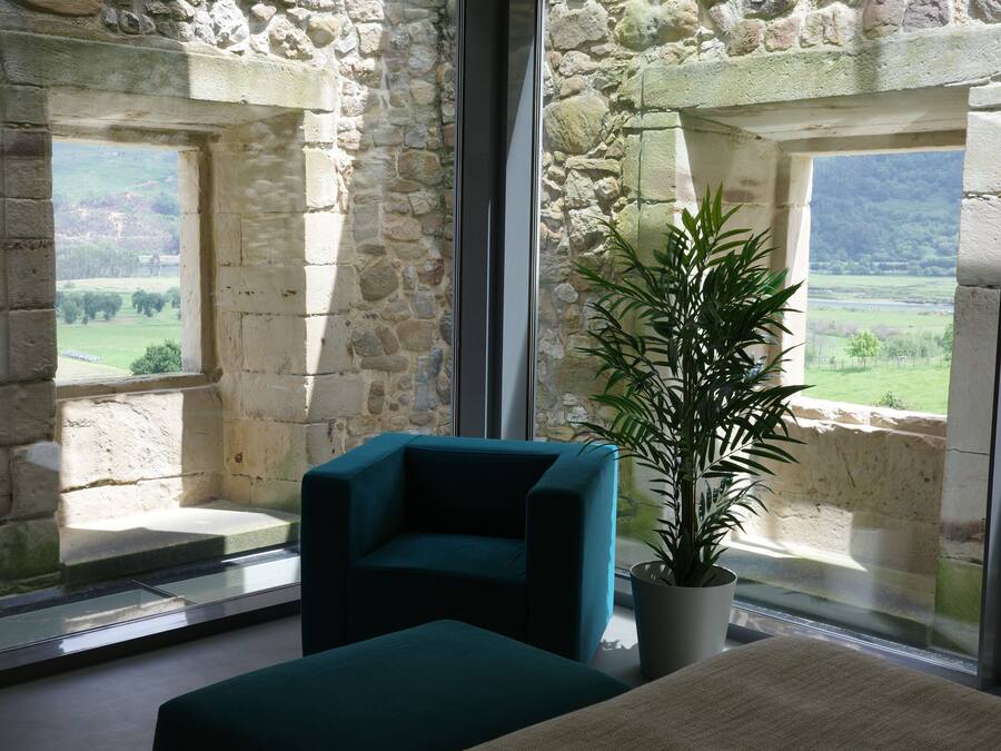 Una habitación con paredes de piedra, un ventanal grande, un sillón azul verdoso y una planta en maceta.
