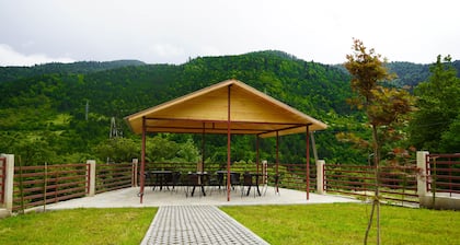 Holiday Borjomi
