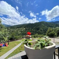 Una flor roja en maceta en un jardín con vistas a una cadena montañosa y un cielo despejado.