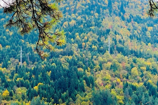 Área de parrilladas y picnic