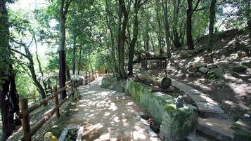 Parco della struttura