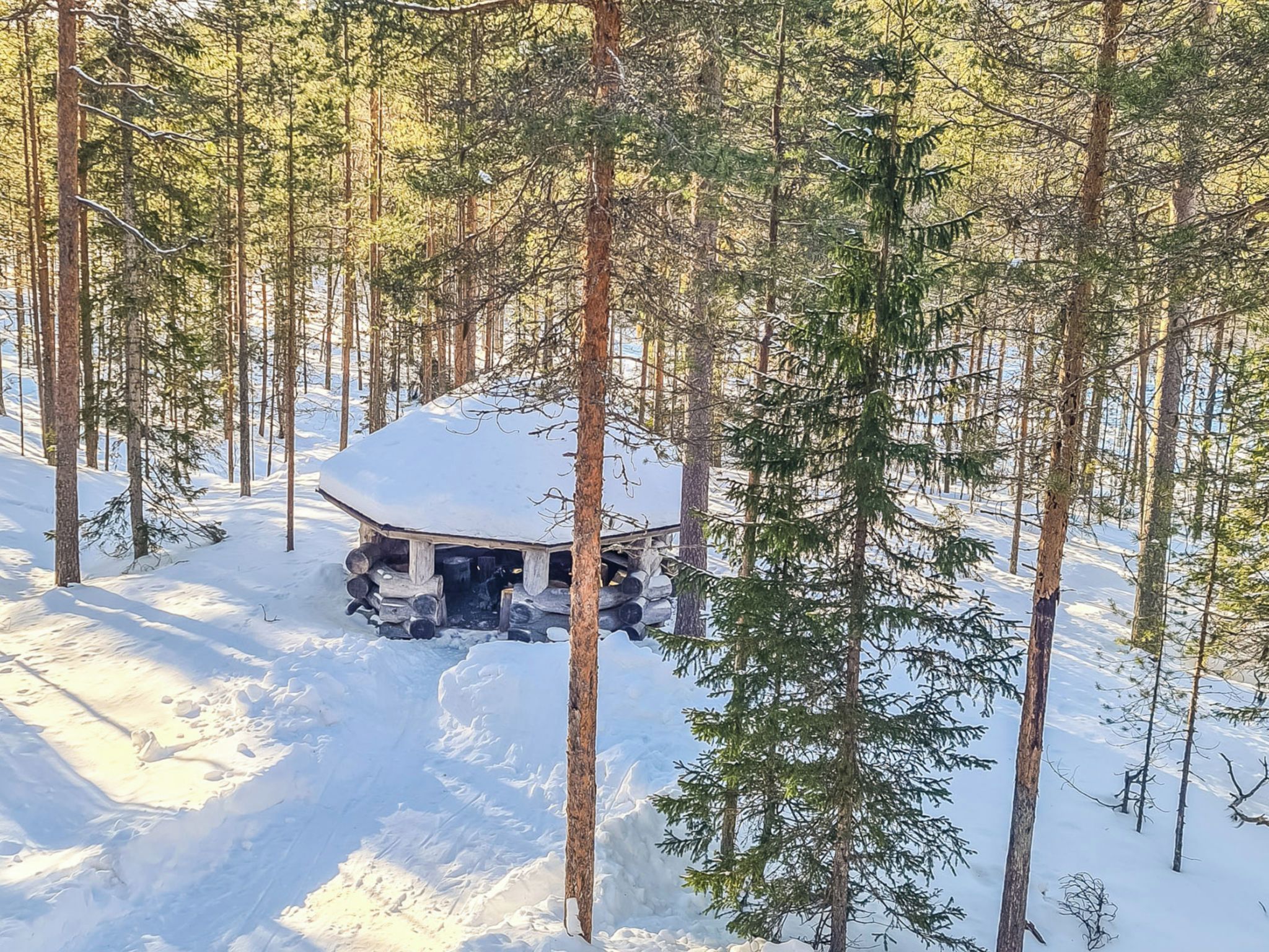 Une cabane entourée de terre enneigée et de grands pins.