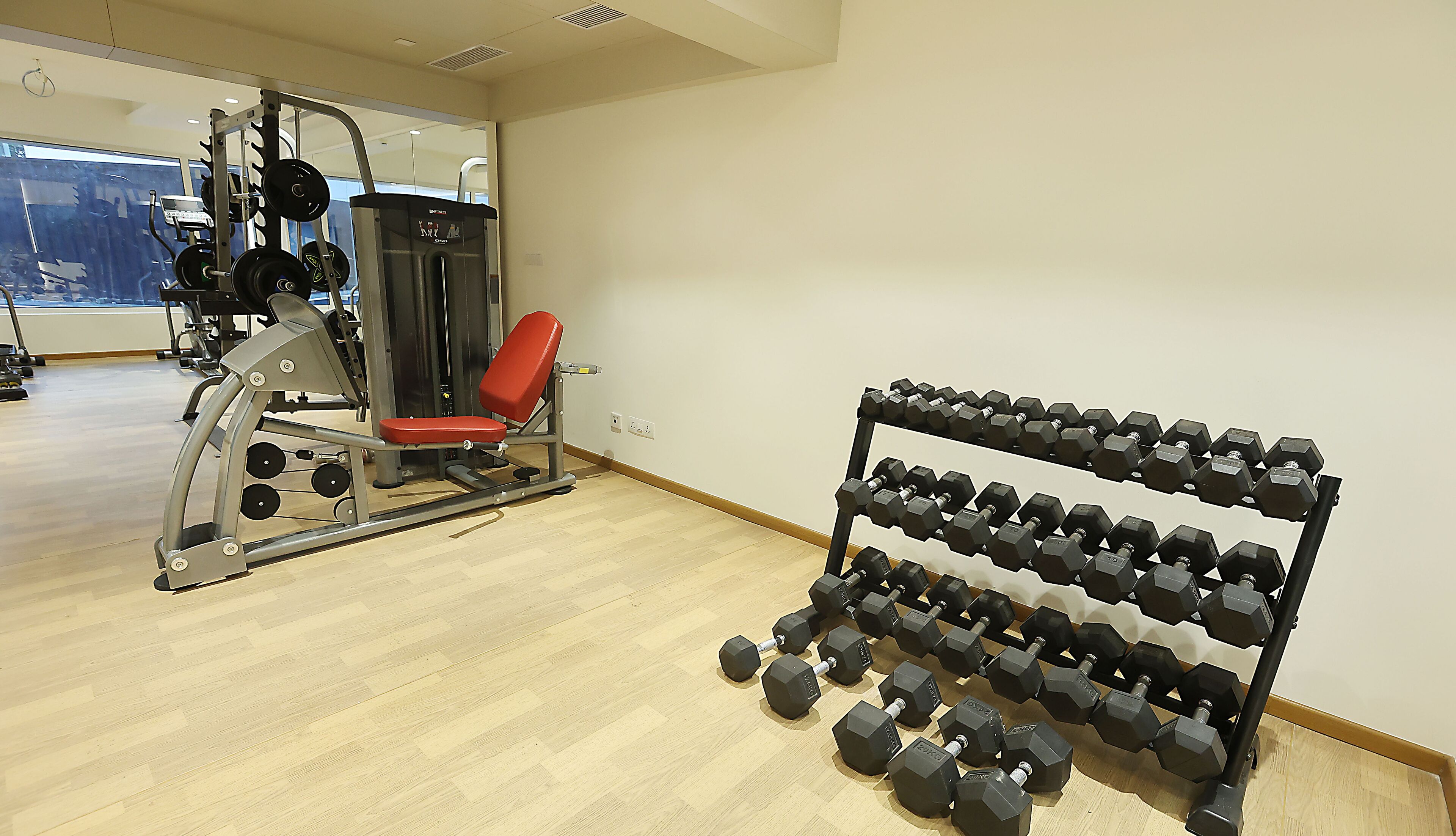 Un gimnasio con banco de pesas, estructura para sentadillas y estante con mancuernas.