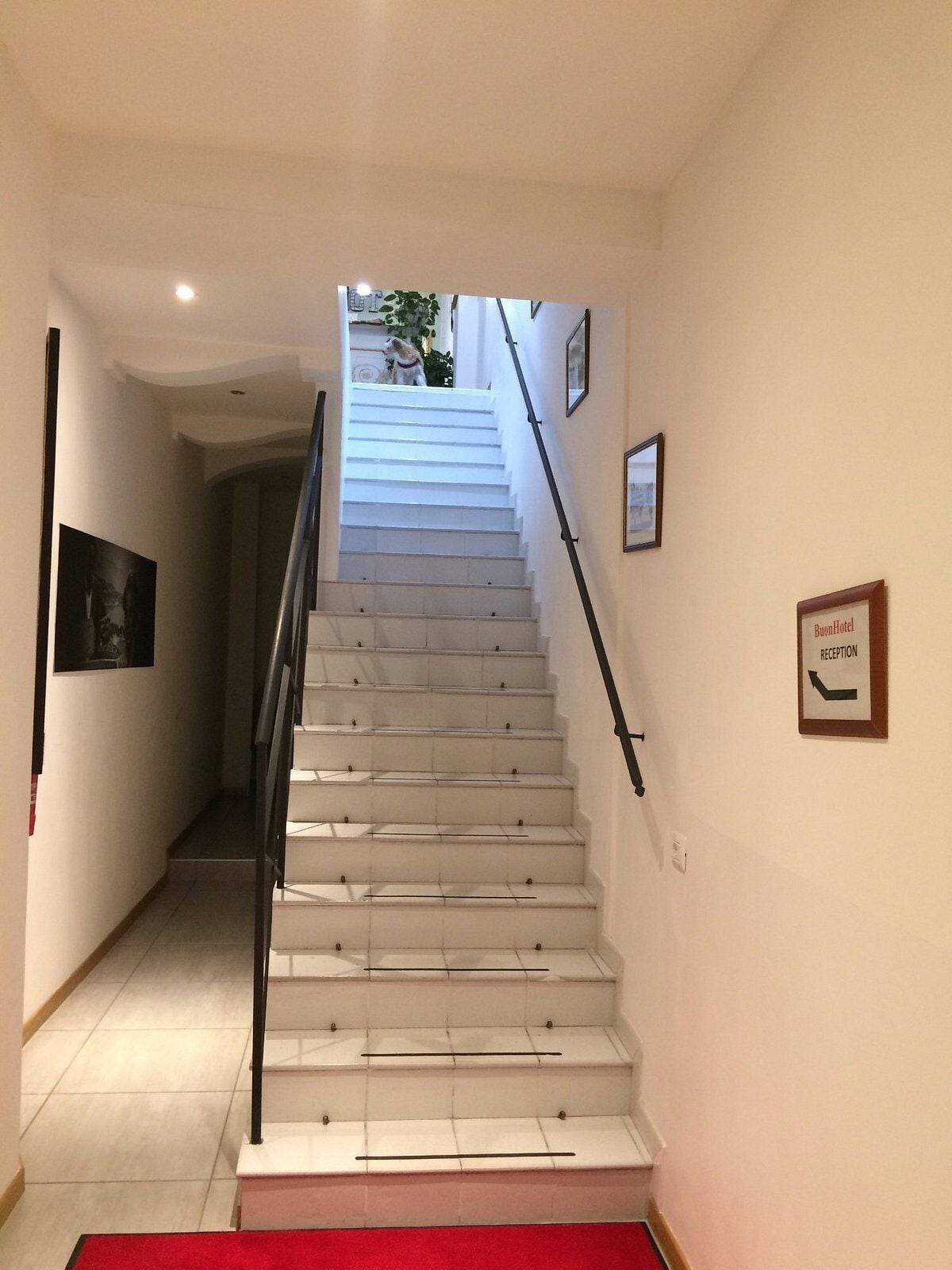 Foto - Buon Hotel Bologna