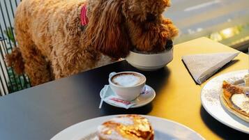 Un chien est assis à une table devant une tasse de café et une assiette de crêpes garnies de fruits.