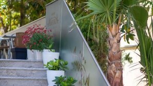 Un escalier agrémenté de plantes en pot blanches et d’un palmier.