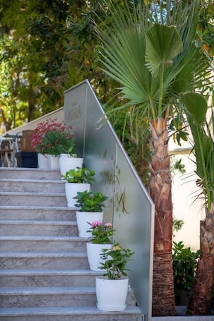 Terraza o patio. Hotel Amfora