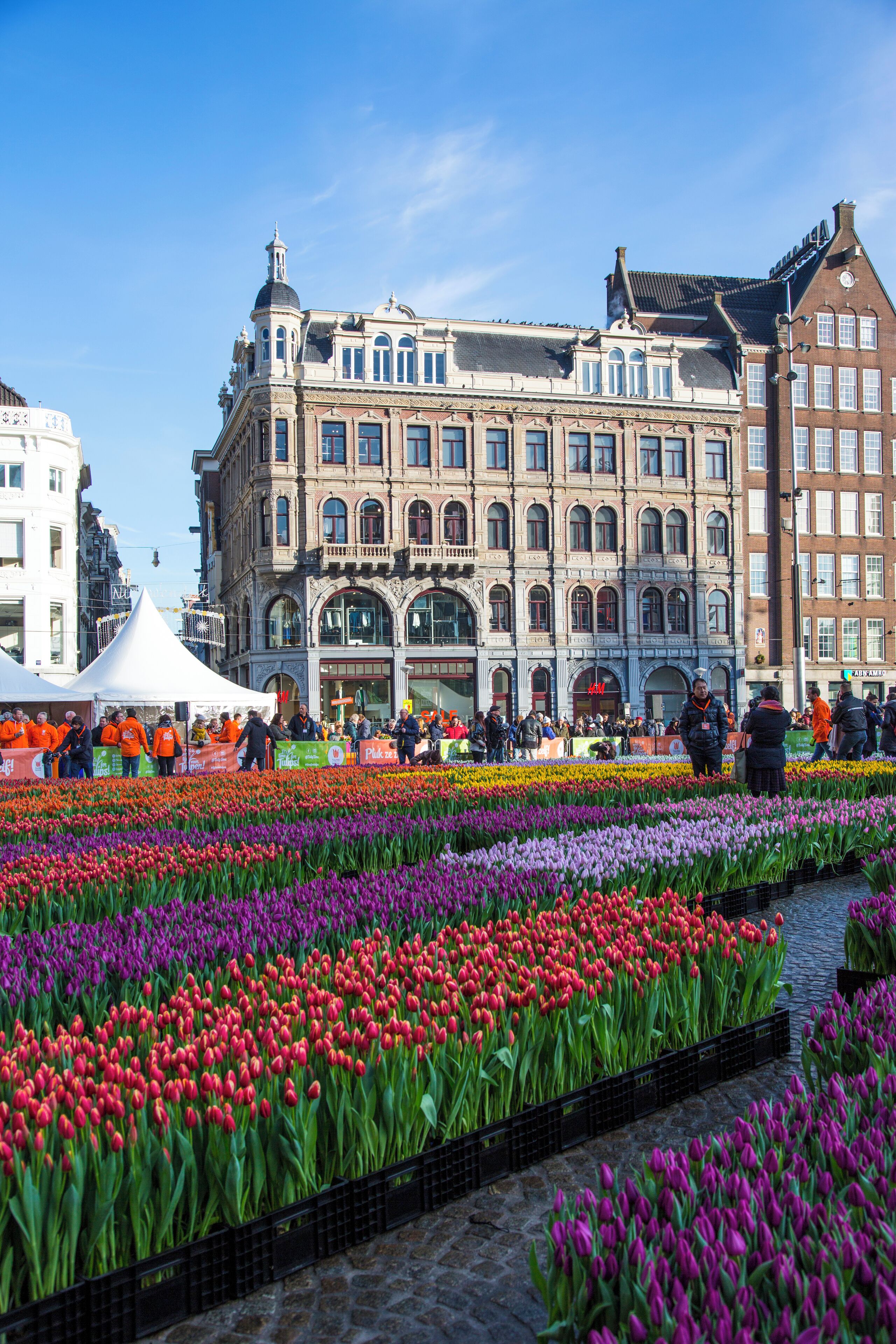 Foto - Maison ELLE Amsterdam