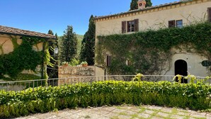 Ein Innenhof mit einem Efeu bewachsenen Gebäude, einer Steinmauer und einem hohen Baum.
