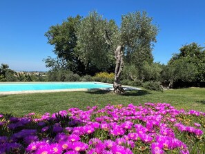 Pool - Apartment in a two-family house with exclusive park and pool 10' from the sea (Tavullia)