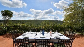 Outdoor dining - Case Domine, Radda in Chianti, Siena and Chianti (Radda in Chianti)