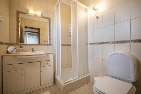 A bathroom with a sink, mirror, shower enclosure, and toilet.