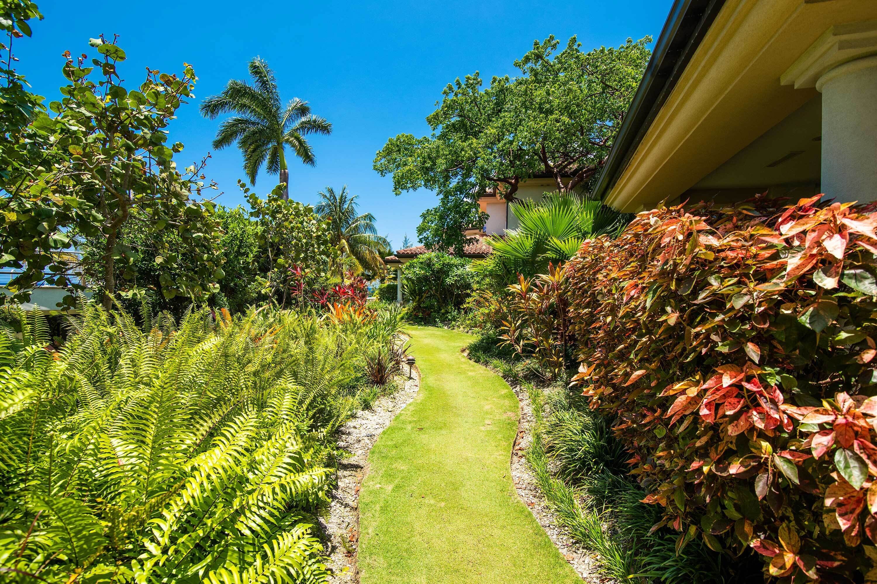 A well-maintained garden with a variety of plants and a clear pathway.