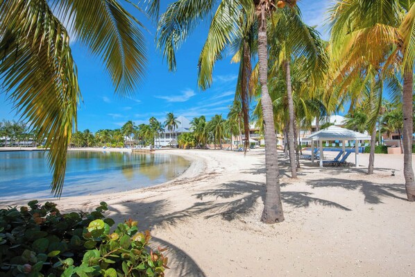 On the beach, sun loungers, beach towels