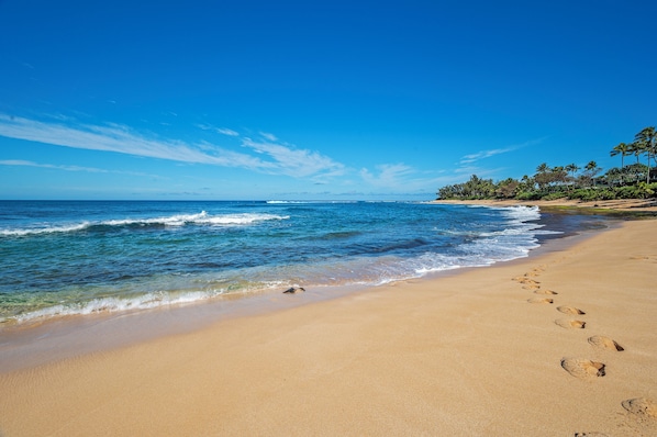 Plage à proximité
