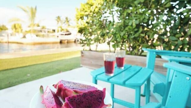 Unclassified image, 1 of 38, button - 4. Cozy Key Largo Waterfront Studio / Dive (Key Largo)