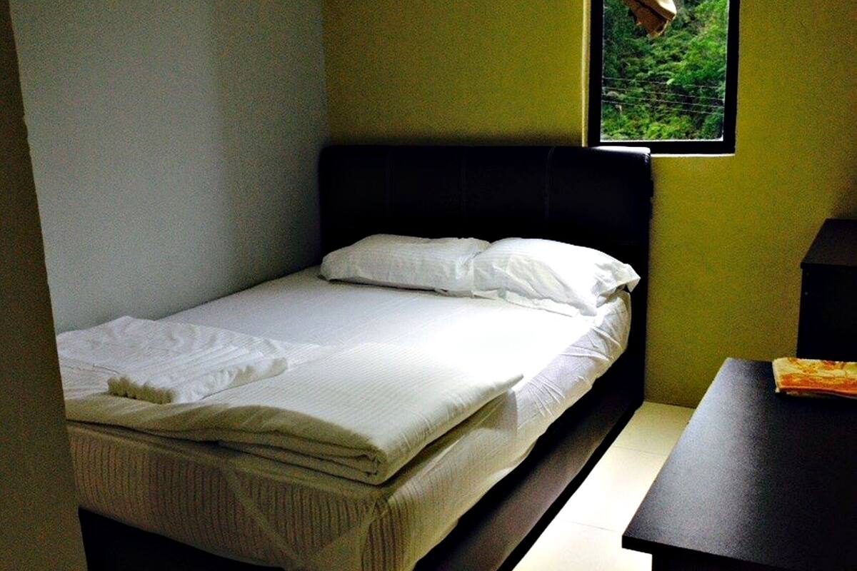 A small, single-bed room with a window overlooking greenery.