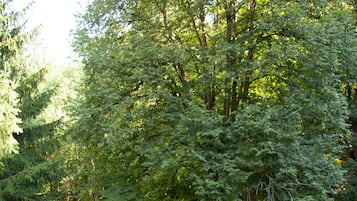 Standard-Doppelzimmer | Terrasse/Patio