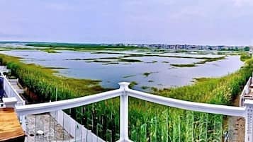 Enjoy breathtaking views of the bay from this scenic viewpoint.