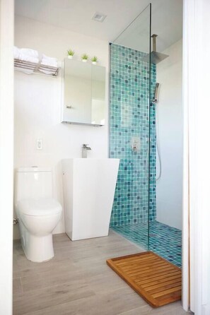 Ducha, secador de pelo, bidé y toallas