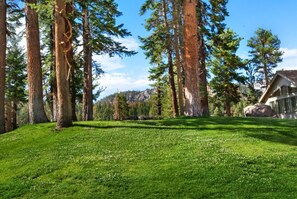 Property grounds - BEST Location | Walk To Canyon Lodge | Views | Spa (Mammoth Lakes)