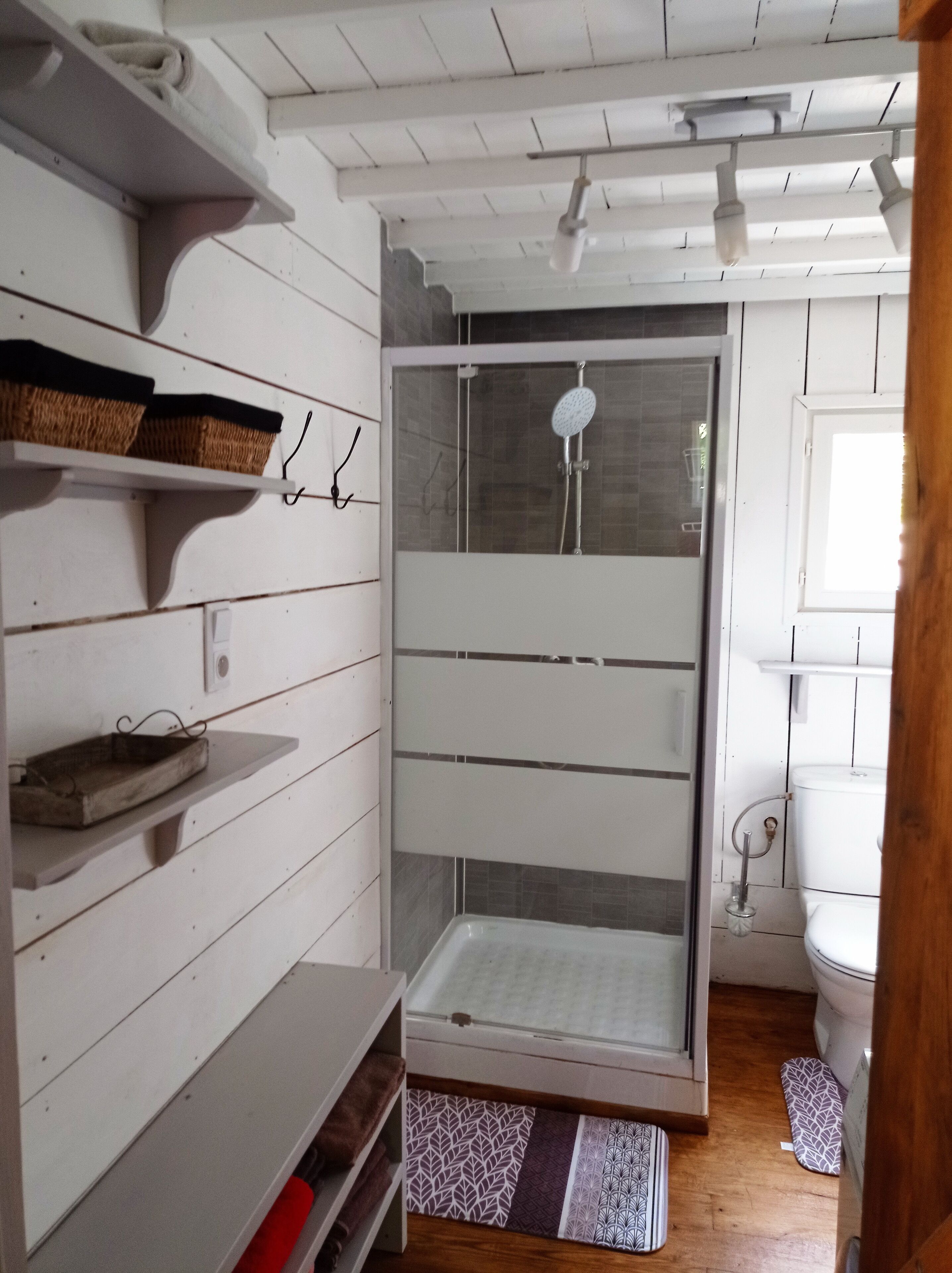 Shower, towels