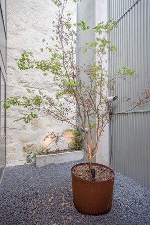 Enceinte de l’hébergement