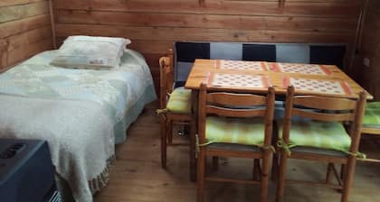 Nice cabin in puyehue 15 km from the hot springs