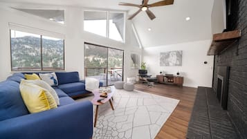 TV, fireplace, video games, books