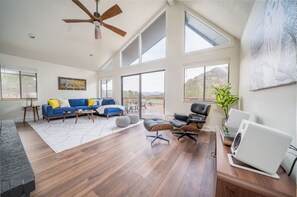TV, fireplace, video games, books