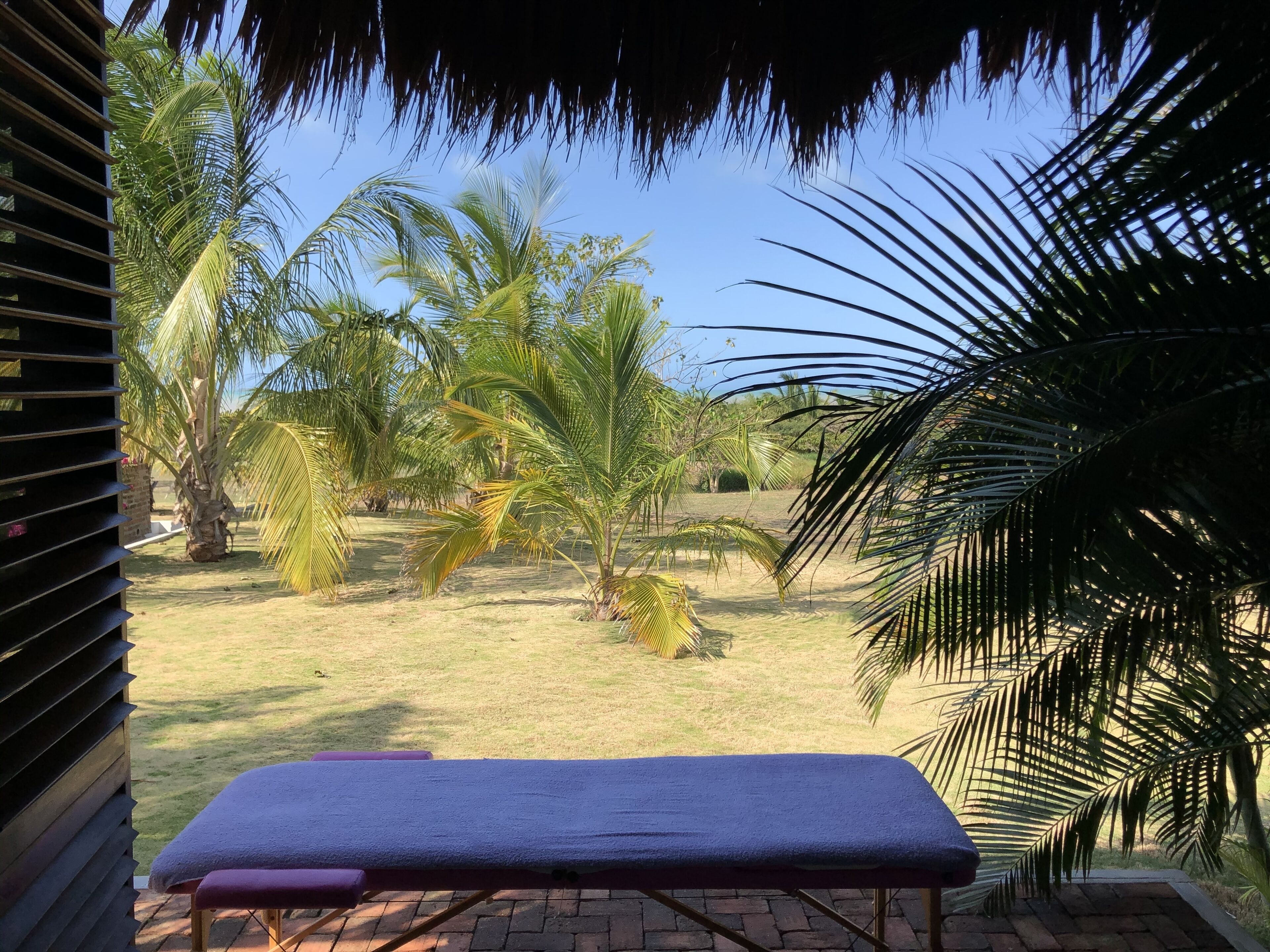 Vista para o jardim