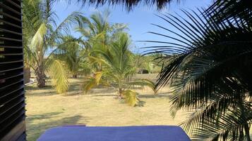 Vista al jardín