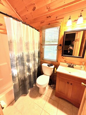 A bathroom with a toilet, sink, and mirror. - Rustic Pines I One-Level Cabin Near Blue Ridge (Morganton)