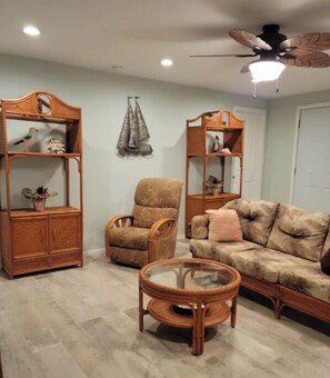 Télévision, lecteur de DVD, table de tennis de table, livres