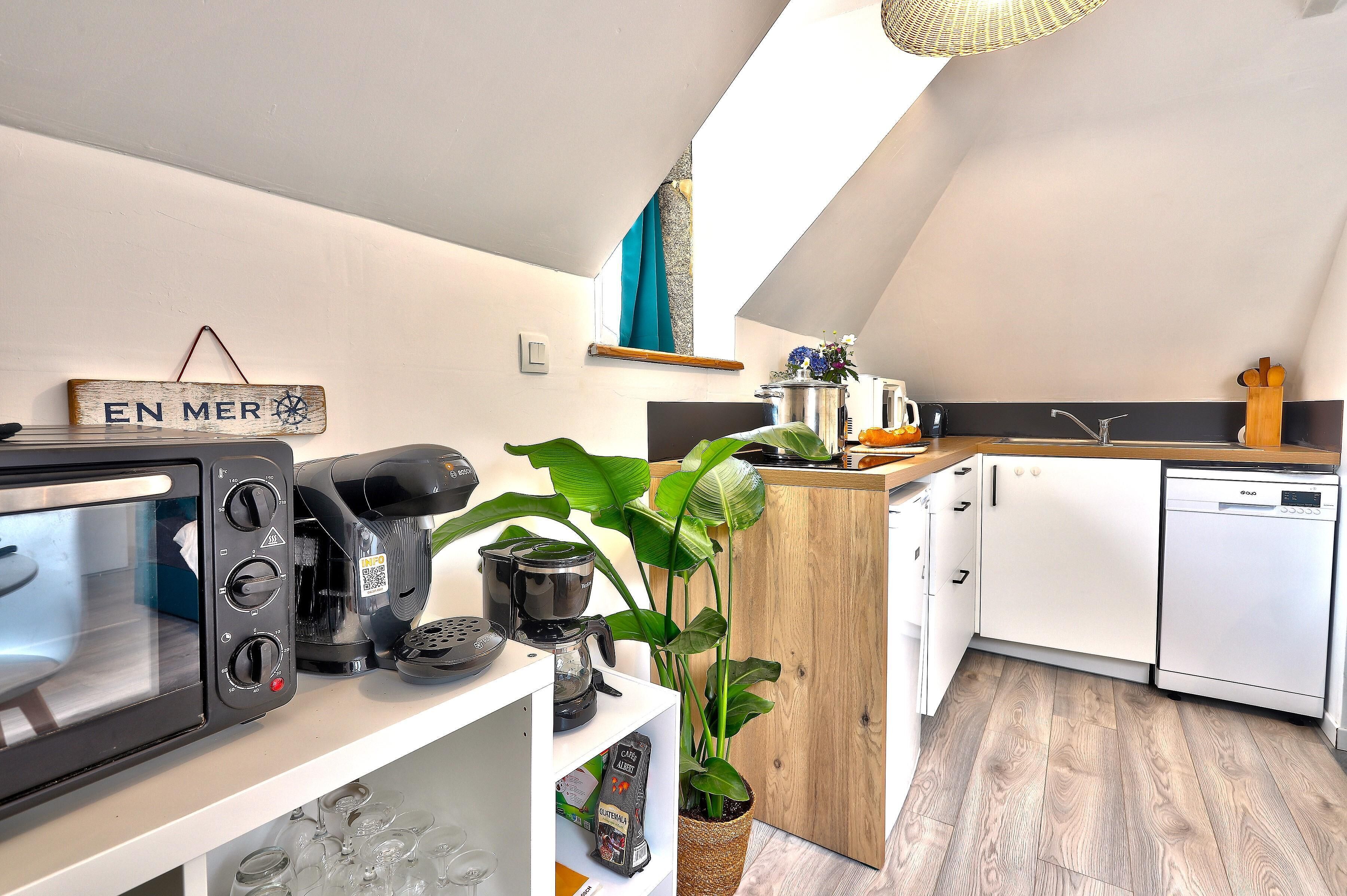 Kogeplade, kaffe-/temaskine, køkkentøj/tallerkener/redskaber