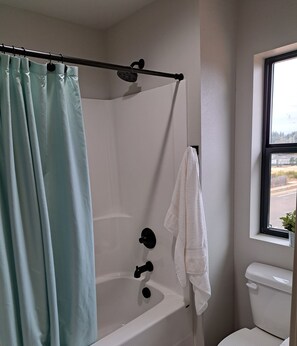 Combined shower/tub, hair dryer, toilet paper