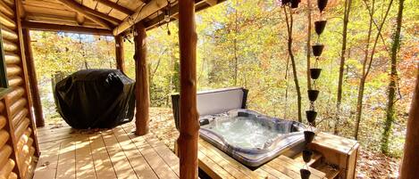 Baignoire à remous extérieure