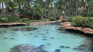 A clear pool with visible underwater rocks and a tropical garden surrounding it. - Luxurious Atlantis Harborside resort beauty 3 bedroom deluxe Villa (Nassau)