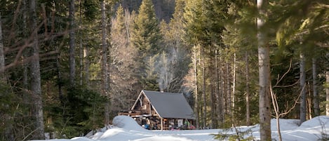 A cabin surrounded by snow-covered ground and tall trees.