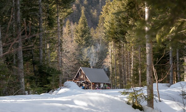 A cabin surrounded by snow-covered ground and tall trees.