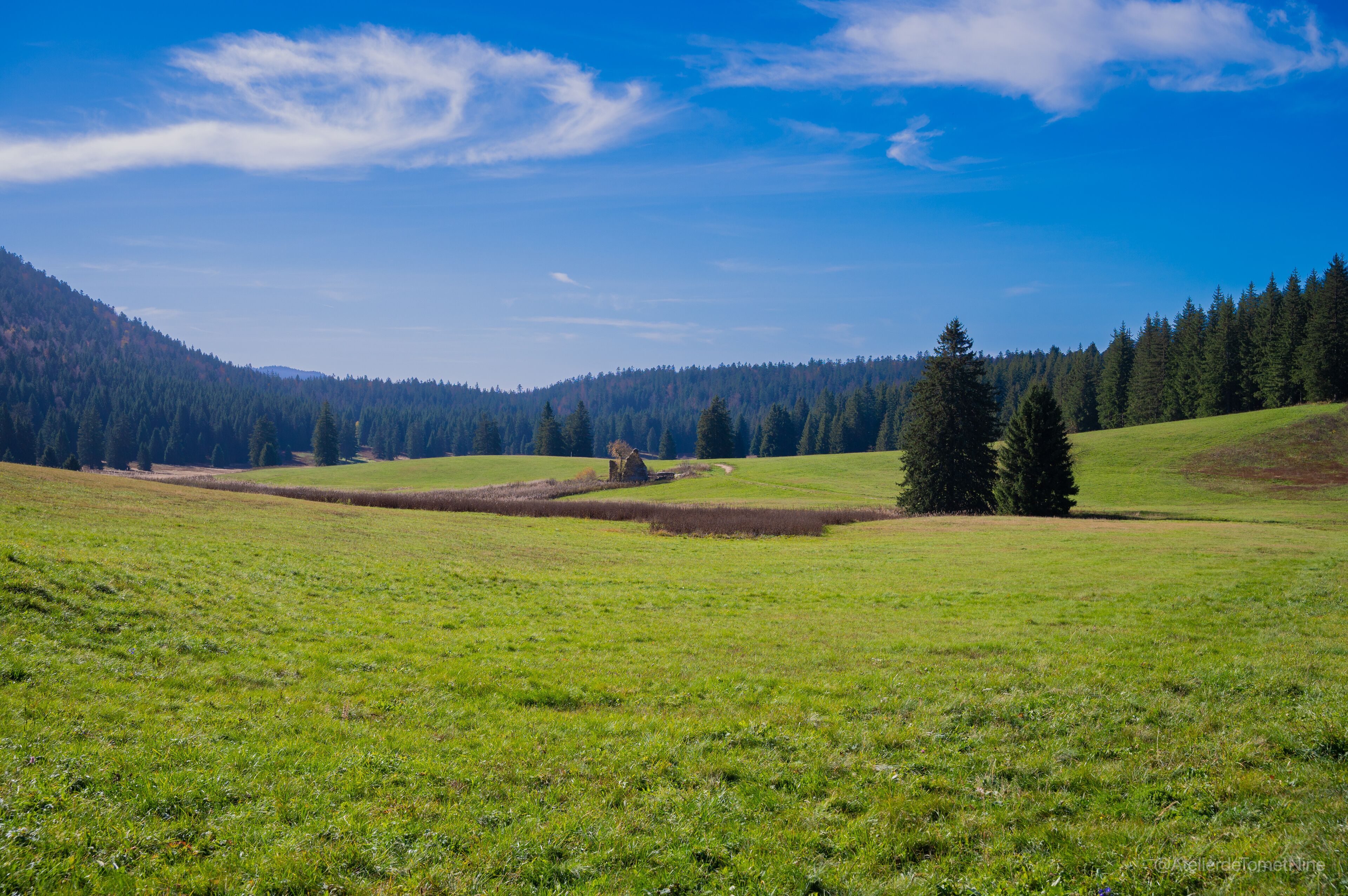 A wide, open field with a small building and a large tree in the distance.