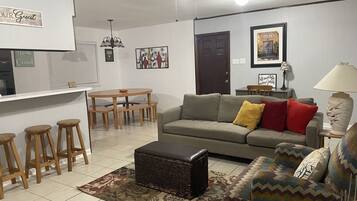 Smart TV, fireplace, DVD player, books