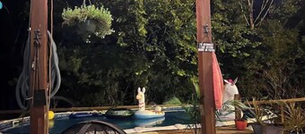 1 extra large bedroom in the woods with pool table and hot tub.