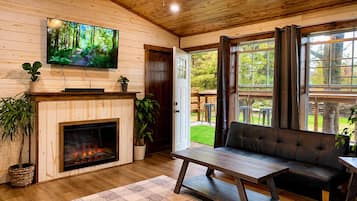 Smart TV, fireplace, video games, books
