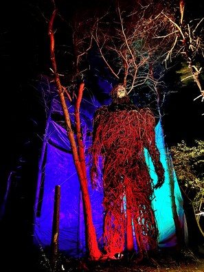 Miscellaneous - 4 Acre Cabin Compound · World's Tallest Bigfoot · Axe Range · Pet-Friendly (Marienville)