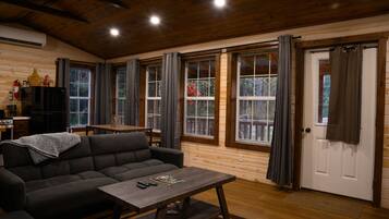 Smart TV, lareira, videogames, livros