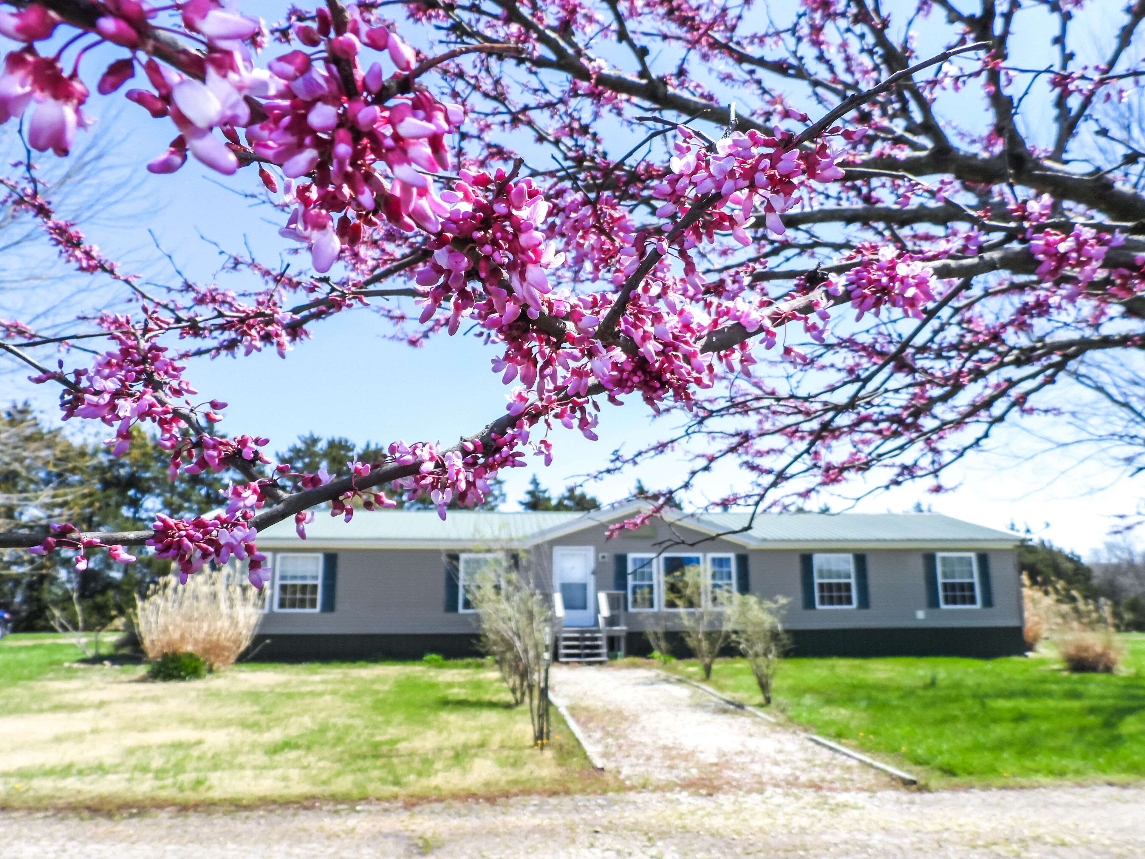 Sunset Ridge perfect vacation home near Meramec River